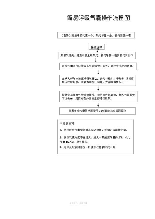 简易呼吸器的使用_简易呼吸器使用操作视频_简易呼吸器使用评分标准