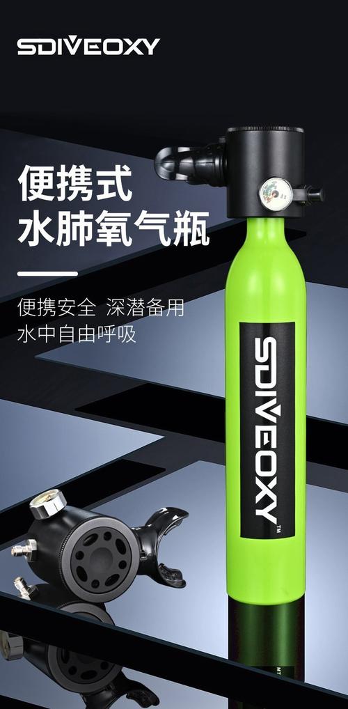 水中呼吸器原理_水中呼吸器_水下呼吸器