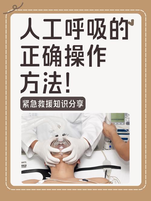 人工呼吸器使用技术视频_人工呼吸器操作_人工呼吸器