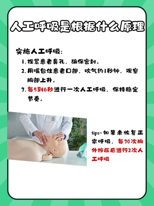 人工呼吸器_人工呼吸器操作_人工呼吸器使用技术视频
