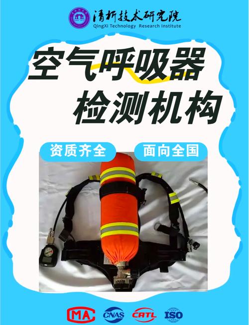 呼吸器滤芯完整性测试_设备呼吸器过滤滤芯_呼吸器滤芯孔径