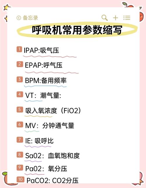 呼吸器的种类主要分为_呼吸器分类及适用场所_呼吸器分为哪几种类型
