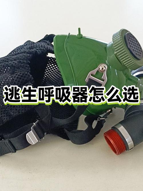 呼吸器分为哪三类_呼吸器分为正压式和负压式_呼吸器分为哪几种类型