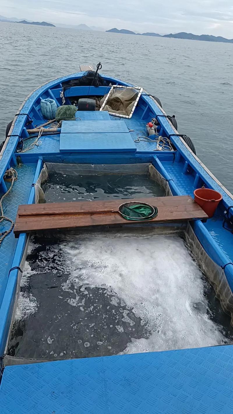 玻璃钢救生艇生产厂家_玻璃钢箱子_玻璃钢救生衣箱